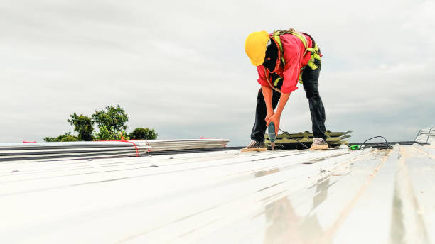 Best Roof Insulation Installation  in Winnsboro, SC
