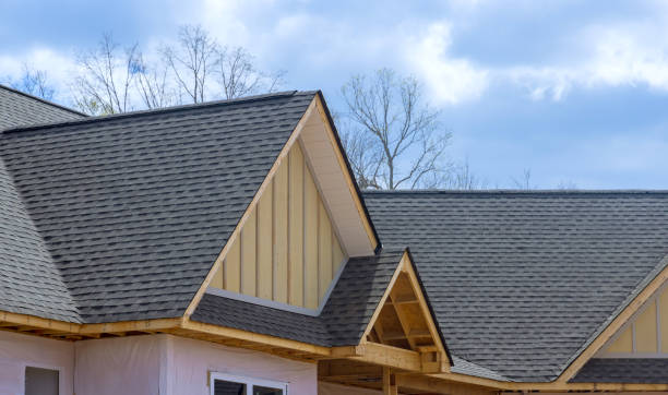 Best Solar Panel Roofing Installation  in Winnsboro, SC